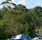 Morning Glory River Resort - Queensland Tourism