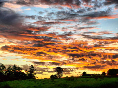 Yarraman Caravan Park & Cabins - Queensland Tourism 9