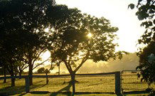 Pebble Bay Cottage - Queensland Tourism 4