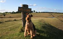 Pebble Bay Cottage - Queensland Tourism 7