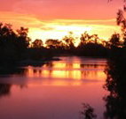 Roches Family Hotel - Queensland Tourism