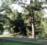 Rustic Caravan Park - QLD Tourism