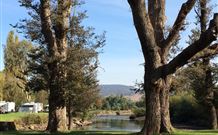 Sand Cottage - QLD Tourism 1