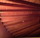 Sea Cottage - QLD Tourism