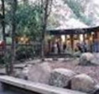 Williams River Holiday Park - QLD Tourism