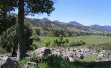 Woolshed Hill Estate - QLD Tourism 0