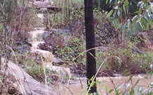 Yester Grange Cottages - QLD Tourism 2