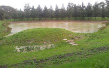 Yester Grange Cottages - QLD Tourism 5