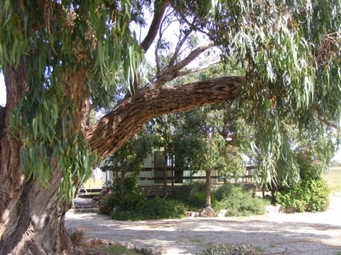 Coodlie Park - Port Kenny - Venus Bay - QLD Tourism 4