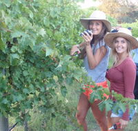 McLaren Vale Backpackers - QLD Tourism