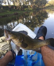 Maidenhead QLD Queensland Tourism