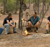 Bonus Downs Farmstay - Queensland Tourism