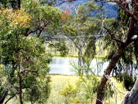 Accommodation Creek Cottages - QLD Tourism 1