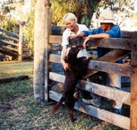 Minmore Farmstay Bed and Breakfast - QLD Tourism