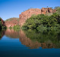Adels Grove Camping Ground - QLD Tourism