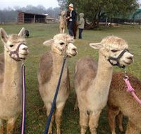 Bunyip Springs Farmstay - QLD Tourism