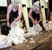 The Woolshed at Jondaryan Caravan and Camping - QLD Tourism