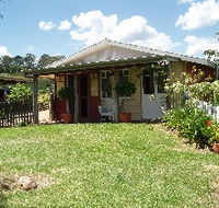 Bunnyconnellen Olive Grove and Vineyard - Queensland Tourism