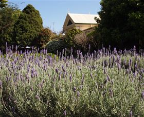 Vacy Hall Toowoomba's Grand Boutique Hotel Since 1873 - QLD Tourism 2