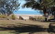 Bucasia Beachfront Caravan Resort - thumb 0