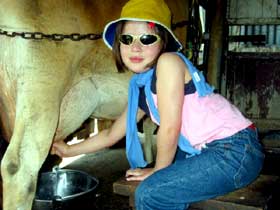 Cedar Glen Farmstay - QLD Tourism 2