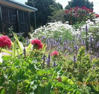 Eastwood Farm - Queensland Tourism