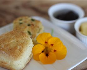 The Friendly Chat Bed And Breakfast And Self-contained Accommodation - QLD Tourism 3