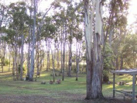 Goomburra Valley Campground - QLD Tourism 2