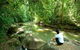 The Canopy Rainforest Tree Houses And Wildlife Sanctuary - thumb 0