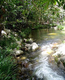Sweetwater Lodge - Queensland Tourism 3