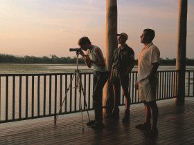 Jabiru Safari Lodge At Mareeba Wetlands - QLD Tourism 3
