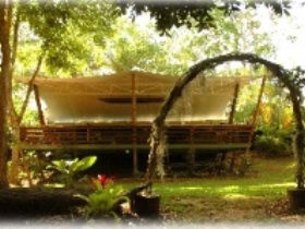 Cedar Park Rainforest Resort - QLD Tourism 2