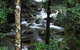 Daintree Secrets Waterfall Sanctuary - thumb 1