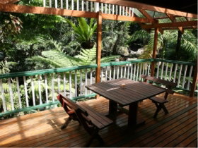 Daintree Secrets Waterfall Sanctuary - QLD Tourism 3