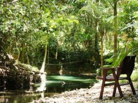 Daintree Wilderness Lodge - QLD Tourism 1