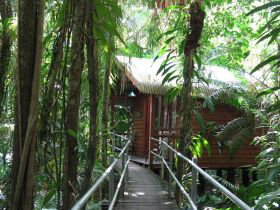 Daintree Wilderness Lodge - QLD Tourism 2