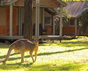 Carnarvon Gorge Wilderness Lodge - Queensland Tourism 3