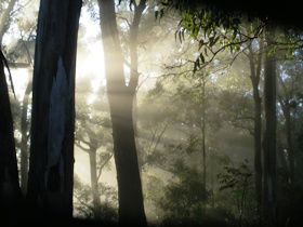 Bamboo Retreat - Queensland Tourism 2