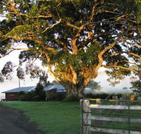 Arley Farm The Old Dairy - Queensland Tourism