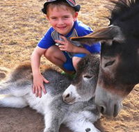 Destiny Boonah ECO Cottages and Donkey Farm - QLD Tourism