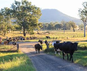 Tommerups Dairy Farmstay - QLD Tourism 0