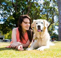 Jacobs Well Tourist Park - QLD Tourism