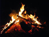 Corroboree Park Tavern - Queensland Tourism 13