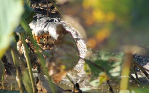 Corroboree Park Tavern - Queensland Tourism 6