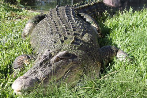 Corroboree Park Tavern - Queensland Tourism 7