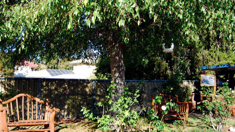 Mudgee NSW QLD Tourism