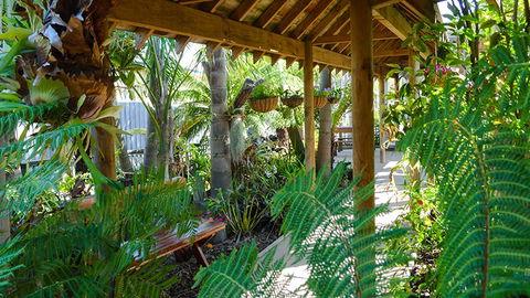 BEST WESTERN Coastal Waters Motor Inn - QLD Tourism 5