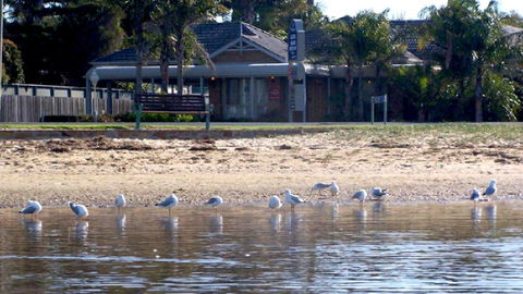 BEST WESTERN Coastal Waters Motor Inn - QLD Tourism 6