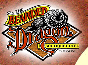 Tamborine QLD Queensland Tourism