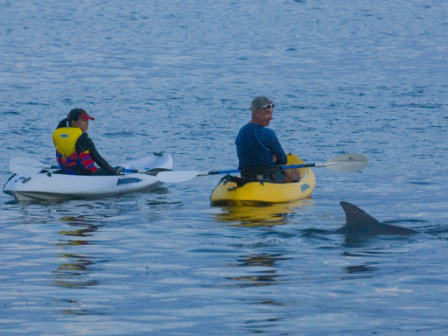 Port Stephens Complete Real Estate - QLD Tourism 11